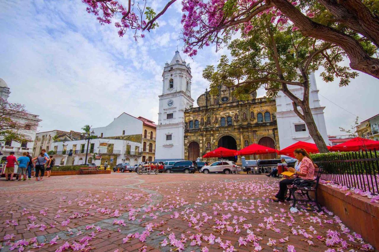 Amazing Suite In Casco Antiguo Panama Stadt Exterior foto